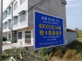 建始墙体广告质量分析