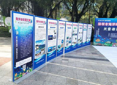 建始KT板的种类和知识。